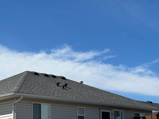 Best Roof Insulation Installation  in Aetna Estates, CO